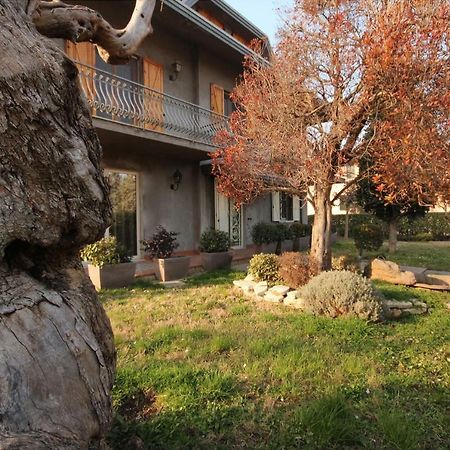 Magnolia Hotel Savignano sul Rubicone Exterior photo